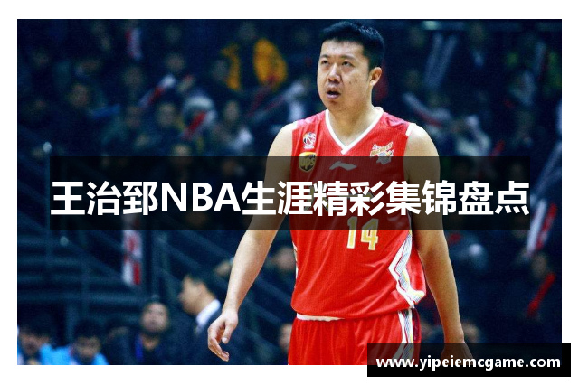 王治郅NBA生涯精彩集锦盘点