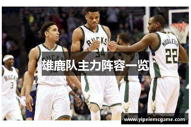 雄鹿队主力阵容一览