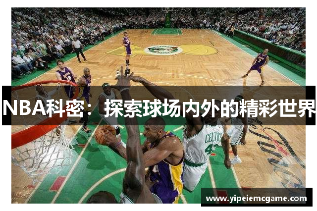 NBA科密：探索球场内外的精彩世界